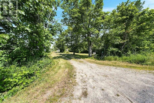 Gravel driveway leading towards the mobile home, bordered by lush green trees and foliage. - 289 Somerville 3rd Concession, Kawartha Lakes