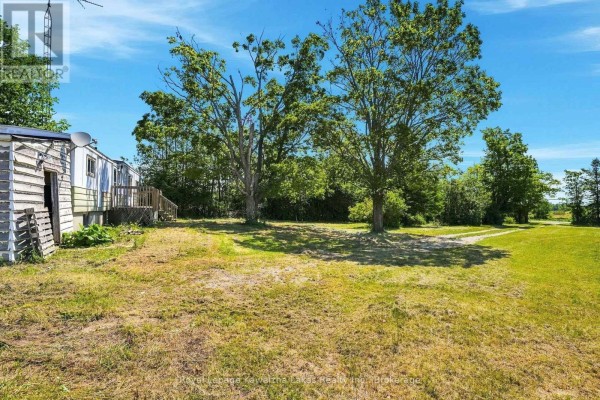 Backyard view of the mobile home with mature trees, grass, and a clear blue sky. - 289 Somerville 3rd Concession, Kawartha Lakes