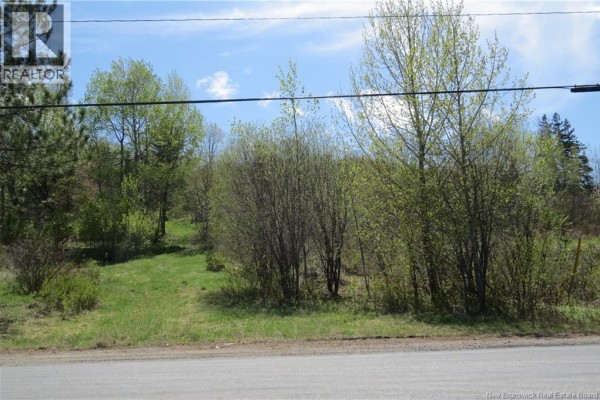 29 2nd Avenue, Napadogan, NB E6B1Y5 Photo 3