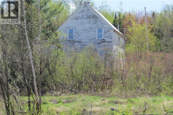 29 2nd Avenue, Napadogan, NB E6B1Y5 Photo 4