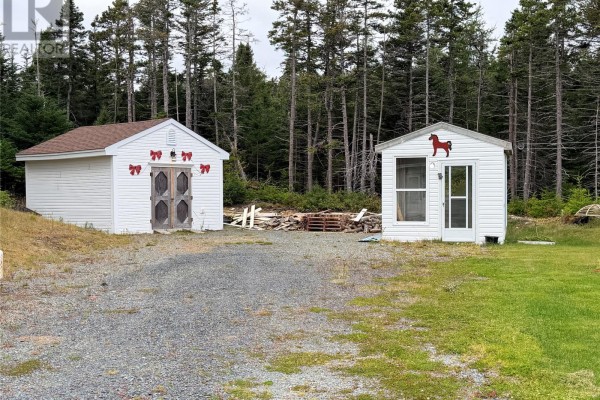 Two white outbuildings on a gravel driveway, with a forest in the background and scattered wood. - 29-31 Spracklin's Avenue, Cupids