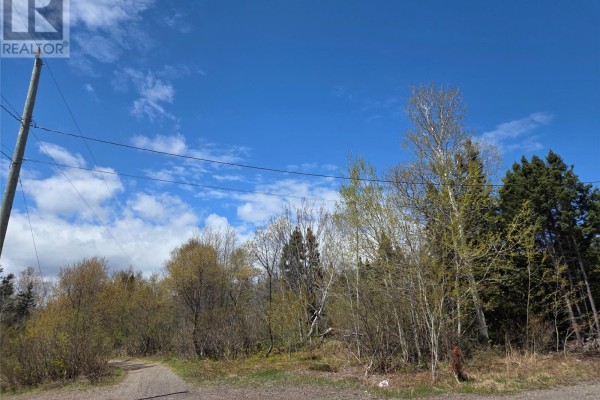 29-46 Aspen Drive, Northern Arm, NL A0H1E0 Photo 4