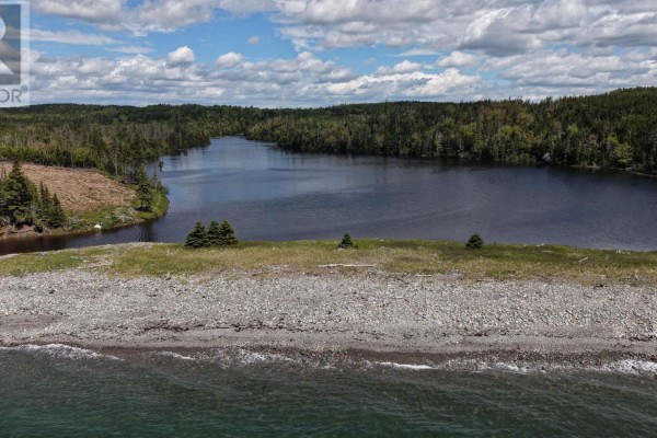 View from the pebble beach looking across a dark lake towards dense green forest and blue sky. - 29 Acres 344 Highway, Manassette Lake
