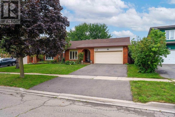 Kitchen - 29 Blackthorn Lane, Brampton, ON L6V3K7 Photo 2