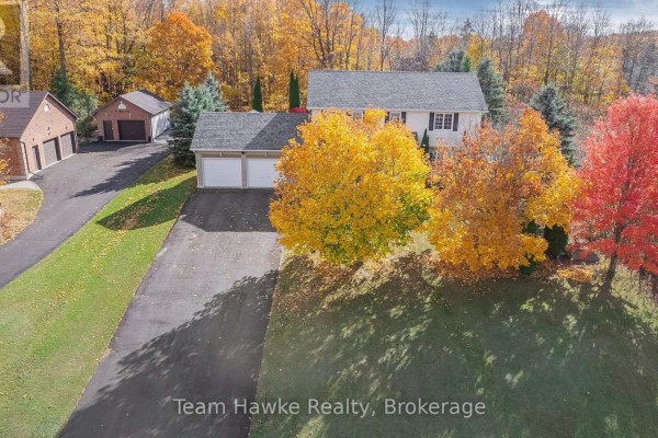 Recreational, Games room - 29 Boyd Crescent, Oro Medonte, ON L0K1N0 Photo 3