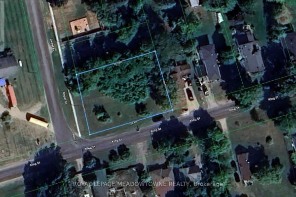 29 Depot Street, Adjala Tosorontio, ON, photo 3