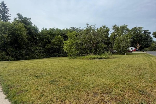 29 Depot Street, Adjala Tosorontio, ON L0M1M0 Photo 5