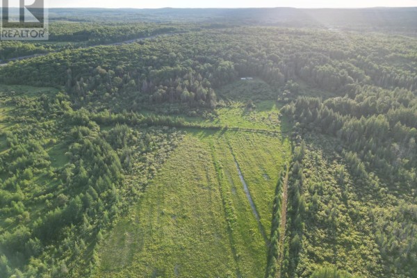 29 Highway 522, Powassan, ON P0H2L0 Photo 4