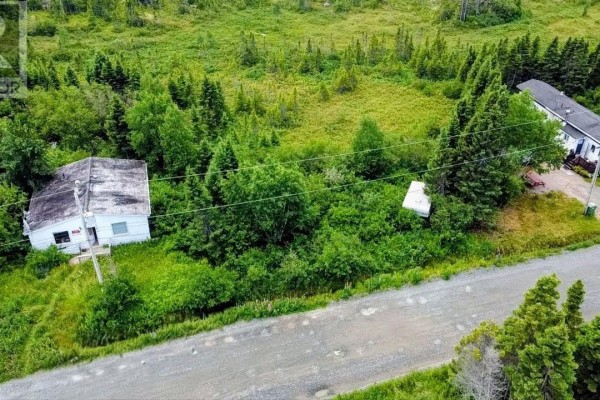29 Hillcrest Road, Hare Bay, NL A0G2P0 Photo 4