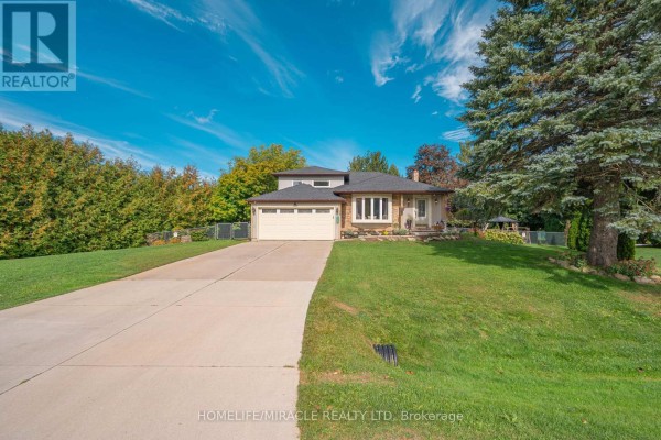 Recreational, Games room - 29 Holmes Drive, Caledon, ON L7K0A6 Photo 3