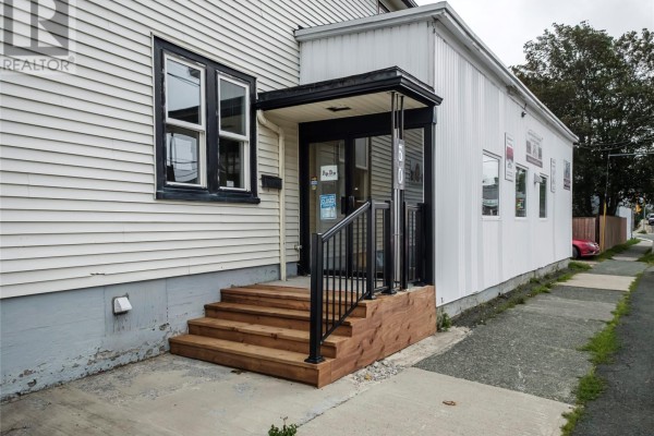 29 Howley Ave Extension, St  John S, NL, photo 3