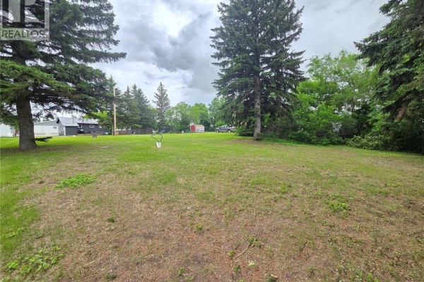 29 Newcombe Street, Manor, SK S0C1R0 Photo 4