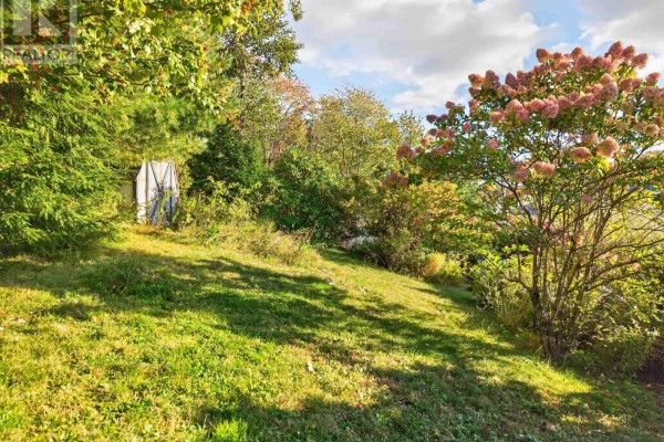 Primary Bedroom - 29 Roslyn Drive, Dartmouth, NS B2W2M2 Photo 5