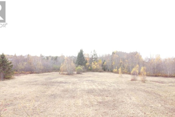 29 Shipyard Road, Cheverie, NS B0N1G0 Photo 5