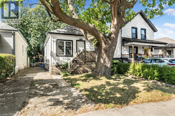 Close-up of the front yard with shrubs and tree, highlighting the pathway. - 29 Wexford Avenue N, Hamilton