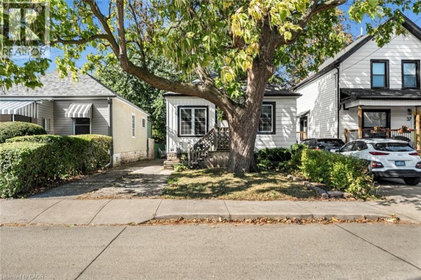 Living room with green walls, sofa, coffee table, and open layout to kitchen. - 29 Wexford Avenue N, Hamilton