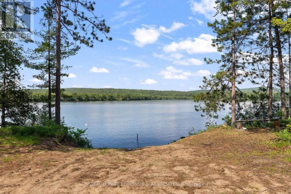 290 Hennessy Trail, Whitewater Region, ON, photo 2
