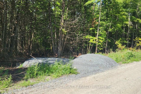 290 Wardens Road, Lanark Highlands, ON K0A1P0 Photo 4