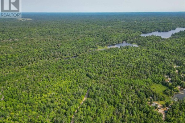 Aerial view looking over a vast green forest with a winding river and scattered buildings. - 291 Danis Road, West Nipissing