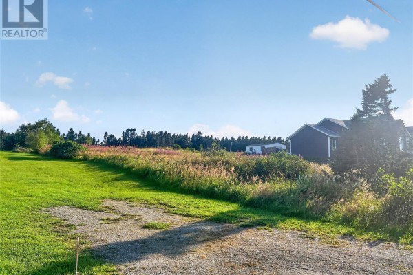 292 Main Street, Musgrave Harbour, NL A0G3J0 Photo 4