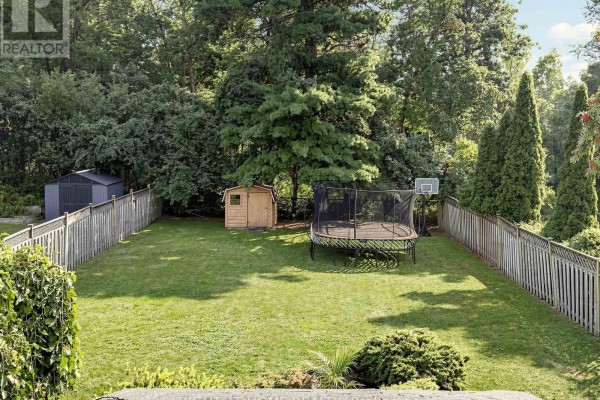 Backyard with a large trampoline, basketball hoop, two sheds, and a wooden privacy fence. - 2920 Kingsway Drive, Oakville