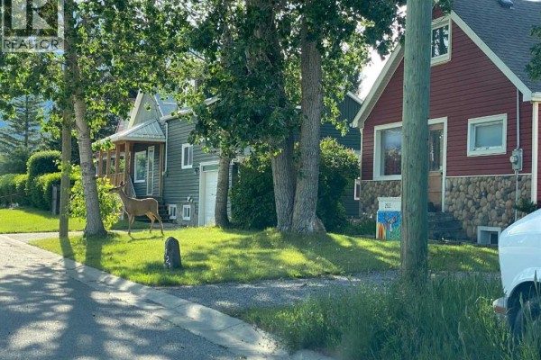 Primary Bedroom - 2922 223 Street, Bellevue, AB T0K0C0 Photo 3