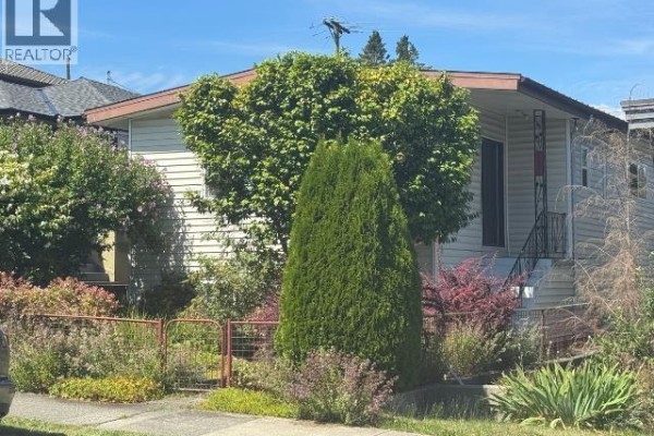 Front exterior view of 2935 Adanac Street, featuring a large tree and flowering bushes. - 2935 Adanac Street, Vancouver