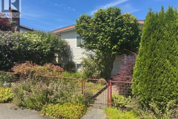 Close-up of the front garden and gate at 2935 Adanac Street, with various plants and trees. - 2935 Adanac Street, Vancouver