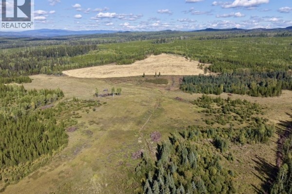 Other - 2935 Miles Creek Forest Service Road, Likely, BC V0L1G0 Photo 4