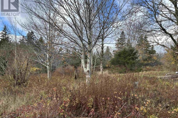 2936 Highway 3, Barrington, NS, photo 2