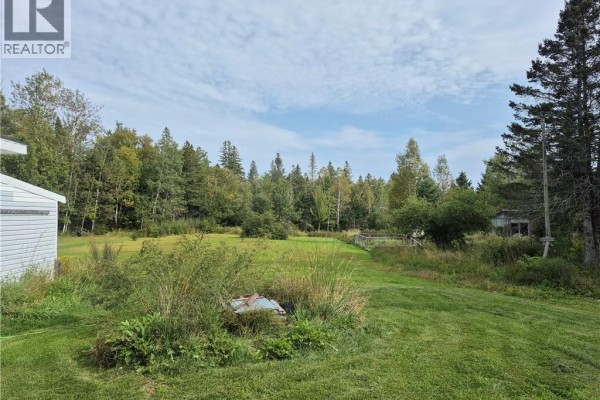 Storage - 2943 Middle River Road, Middle River, NB E2A6X9 Photo 4