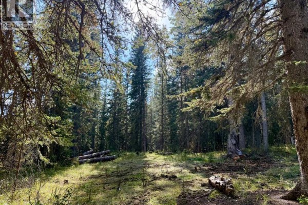 29436 Range Road 54 A, Rural Mountain View County, AB T0M2E0 Photo 3