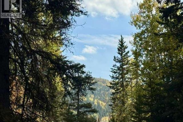 29436 Range Road 54 A, Rural Mountain View County, AB T0M2E0 Photo 4
