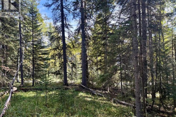 29436 Range Road 54 A, Rural Mountain View County, AB T0M2E0 Photo 5