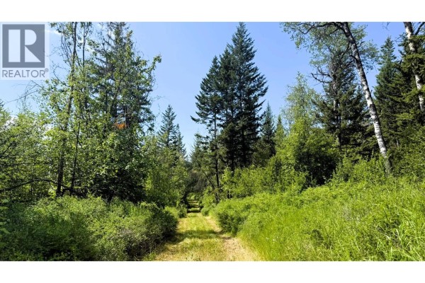 2945 Botta Road, Kamloops, BC V0E3E0 Photo 5