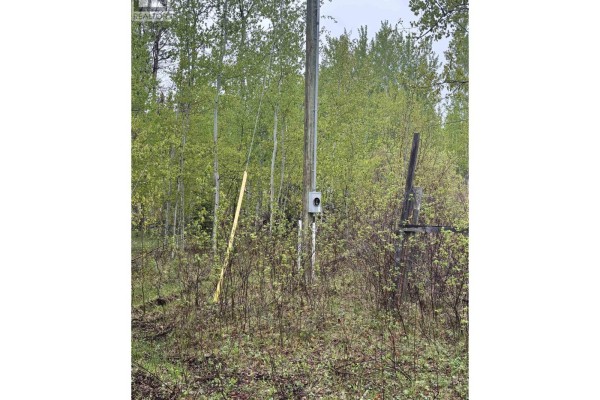 2954 Spout Lake Road, Lac La Hache, BC V0K1T0 Photo 4