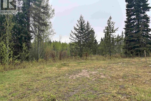2954 Spout Lake Road, Lac La Hache, BC V0K1T0 Photo 5