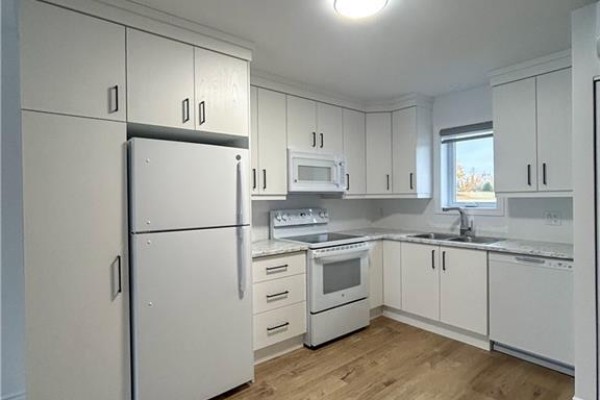 296 280 Highway, Dundee, NB E8E1Y8 Photo 4