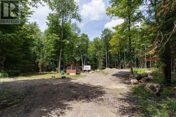 2978 Glamorgan Road, Highlands East, ON, photo 2