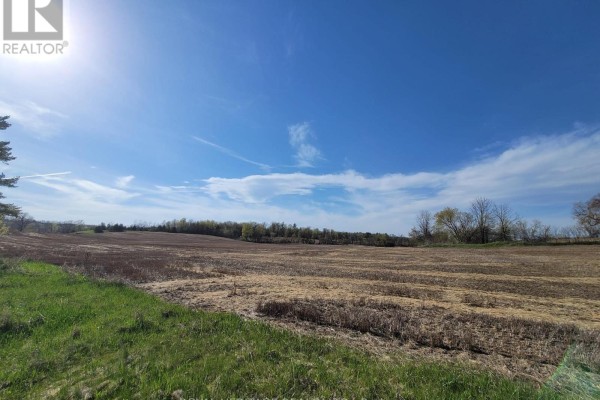Wide view of a harvested brown field under a bright blue sky with wispy white clouds and green grass foreground. - 298 6th Line W, Trent Hills