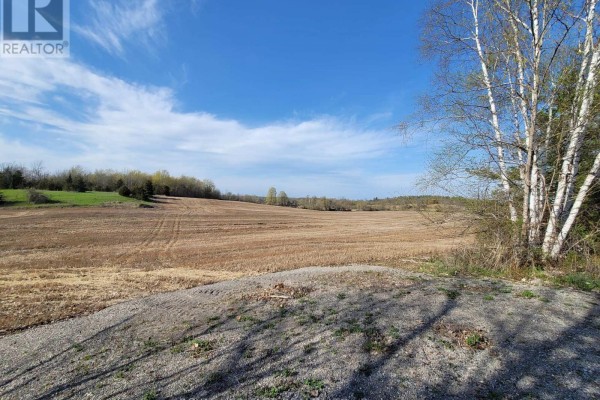 View of harvested fields under a blue sky with white clouds, featuring birch trees and gravel foreground. - 298 6th Line W, Trent Hills