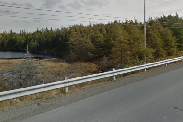 298 Main Road, Whitbourne, NL A0B3K0 Photo 4