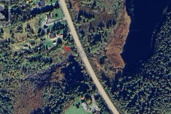 298 Main Road, Whitbourne, NL A0B3K0 Photo 5