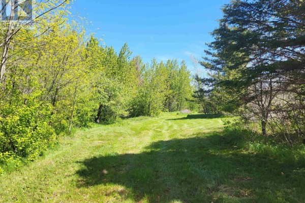 2999 Shore Road, Litchfield, NS B0S1A0 Photo 3