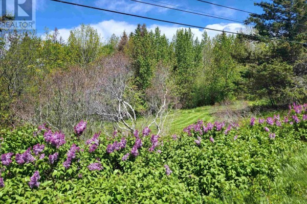 2999 Shore Road, Litchfield, NS B0S1A0 Photo 4