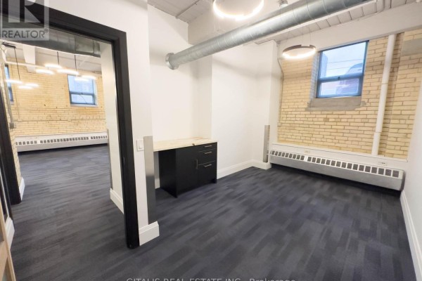 2a - 219 Dufferin Street, Toronto, ON M6K1Y9 Photo 4