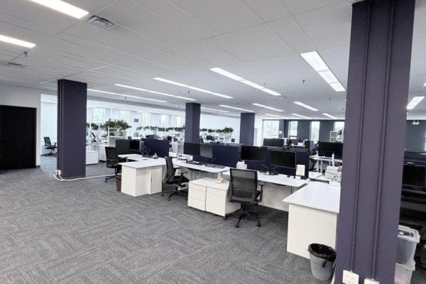 Open-concept office space with rows of desks, computers, and gray carpet. - 2nd Floor - 139 Mulock Avenue, Toronto