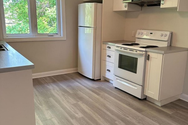 Bedroom 2 - 2nd Floor - 407 Woodbine Avenue, Toronto, ON M4L3P7 Photo 4