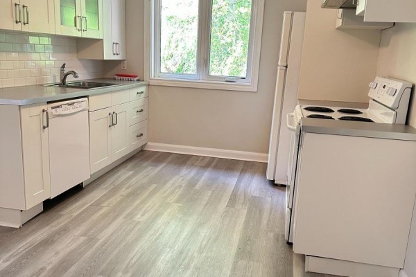2nd Floor - 407 Woodbine Avenue, Toronto, ON M4L3P7 Photo 5