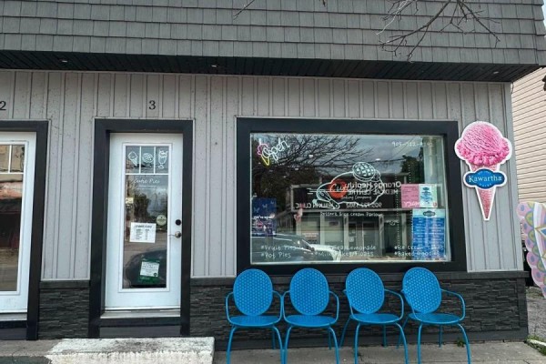 #3 - 118 High Street, Georgina, ON L0E1R0 Photo 4
